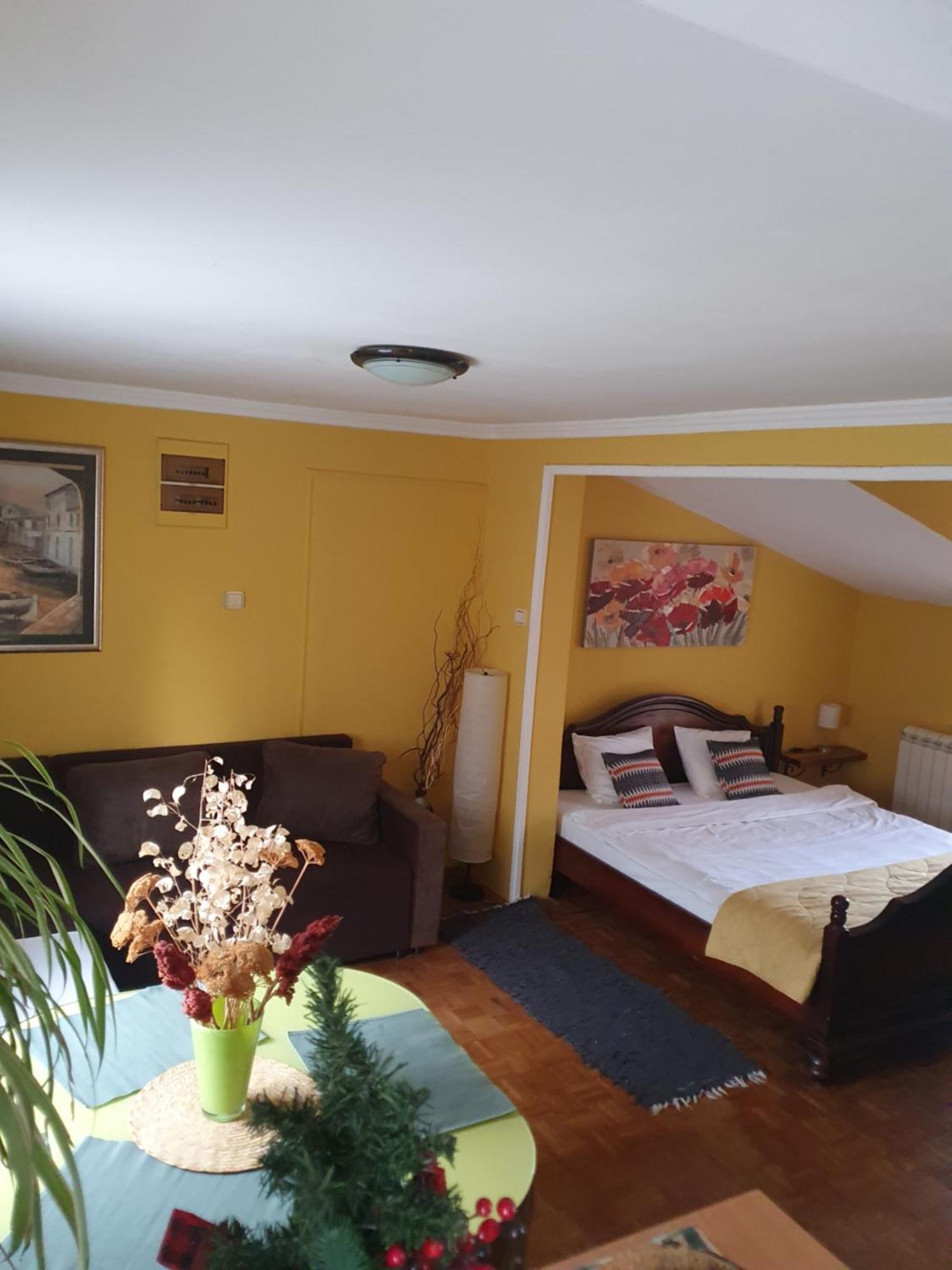 Natura Apartment Belgrado Esterno foto