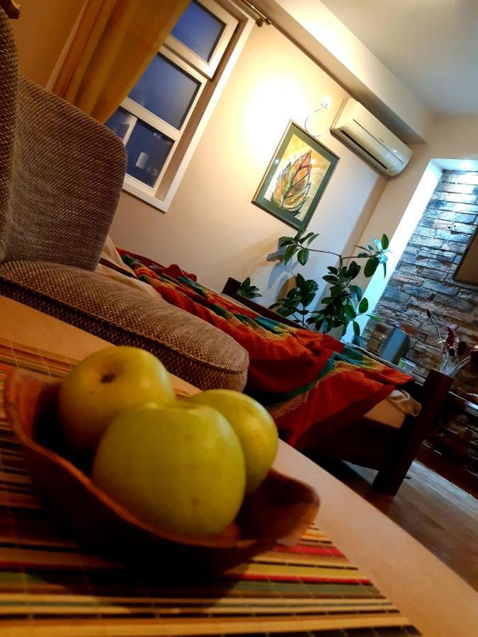 Natura Apartment Belgrado Esterno foto